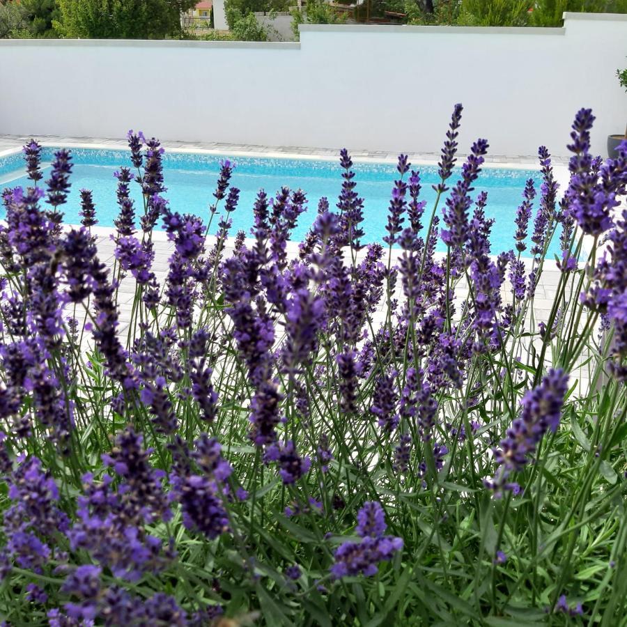 Villa Silver Starigrad Paklenica Eksteriør billede