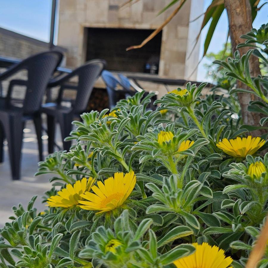 Villa Silver Starigrad Paklenica Eksteriør billede