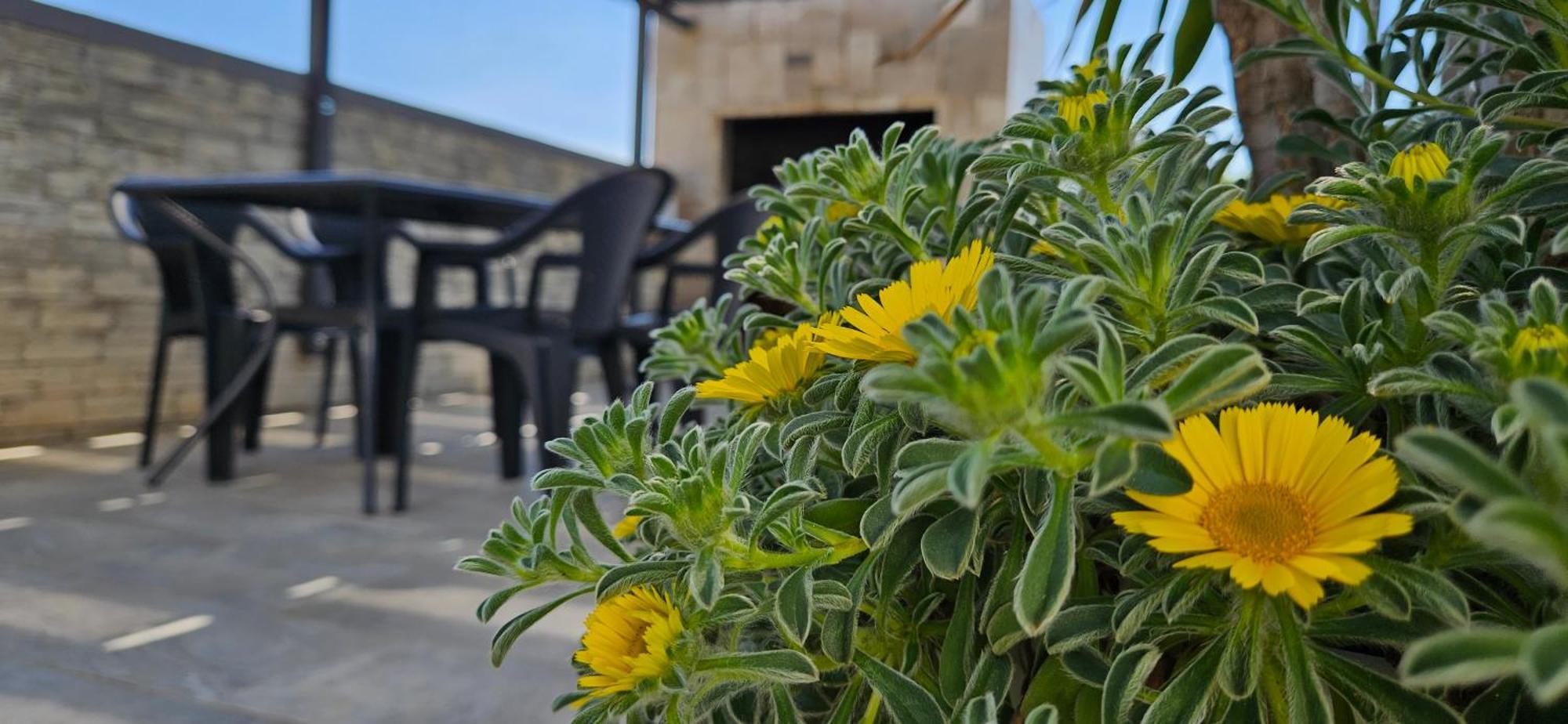 Villa Silver Starigrad Paklenica Værelse billede